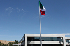 consul